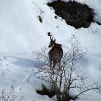 Au-dessus de St Ours…