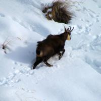 Au-dessus de St Ours…