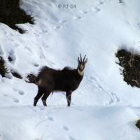 Au-dessus de St Ours…