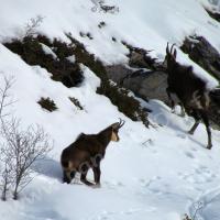 Au-dessus de St Ours…