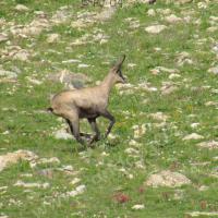 Vallon des Lacs des Hommes