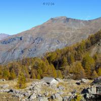 À la descente… la Cabane de la Goutta