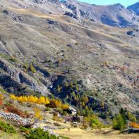 Au loin… le Petit Cloche