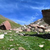 Vallon de Serenne