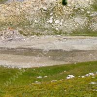 … ou ce qu’il en reste !