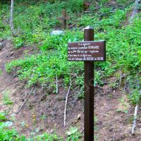 Plaque commémorative du médecin lieutenant Bongard