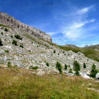 Sentier du retour…