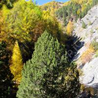 En vue du ravin du Fau…