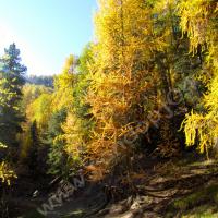 Embranchement vers la Malune