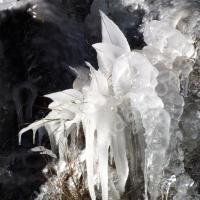 … sculpte des fleurs