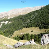 Au loin… une cabane