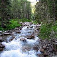 Torrent de la Blanche