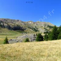 Des Portes du Morgon… la bergerie