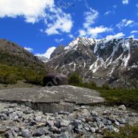 Cloche GFM (Guet Fusil-Mitrailleur)