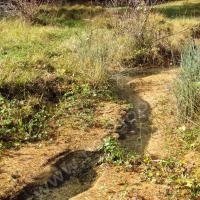 Petit ruisseau…
