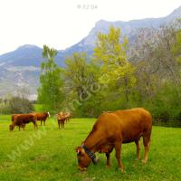 Au loin… Pic de Morgon