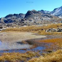 … envahi par les herbes