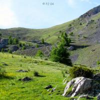 … dans le vallon