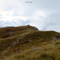 Plateau herbeux de Neillère