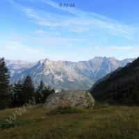 À la sortie de la forêt