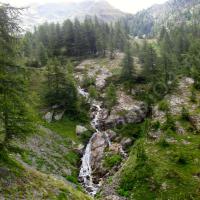 Torrent de Tortisse