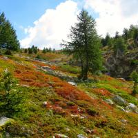 Sur le sentier du retour…